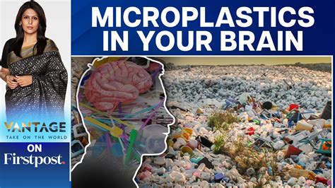 microplastics found in human brain